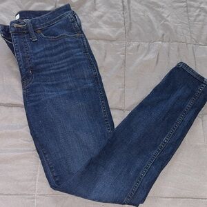 Madewell 10-inch High Rise Skinny Jeans (Hayes Wash)